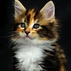 Meet your Posher, Marina